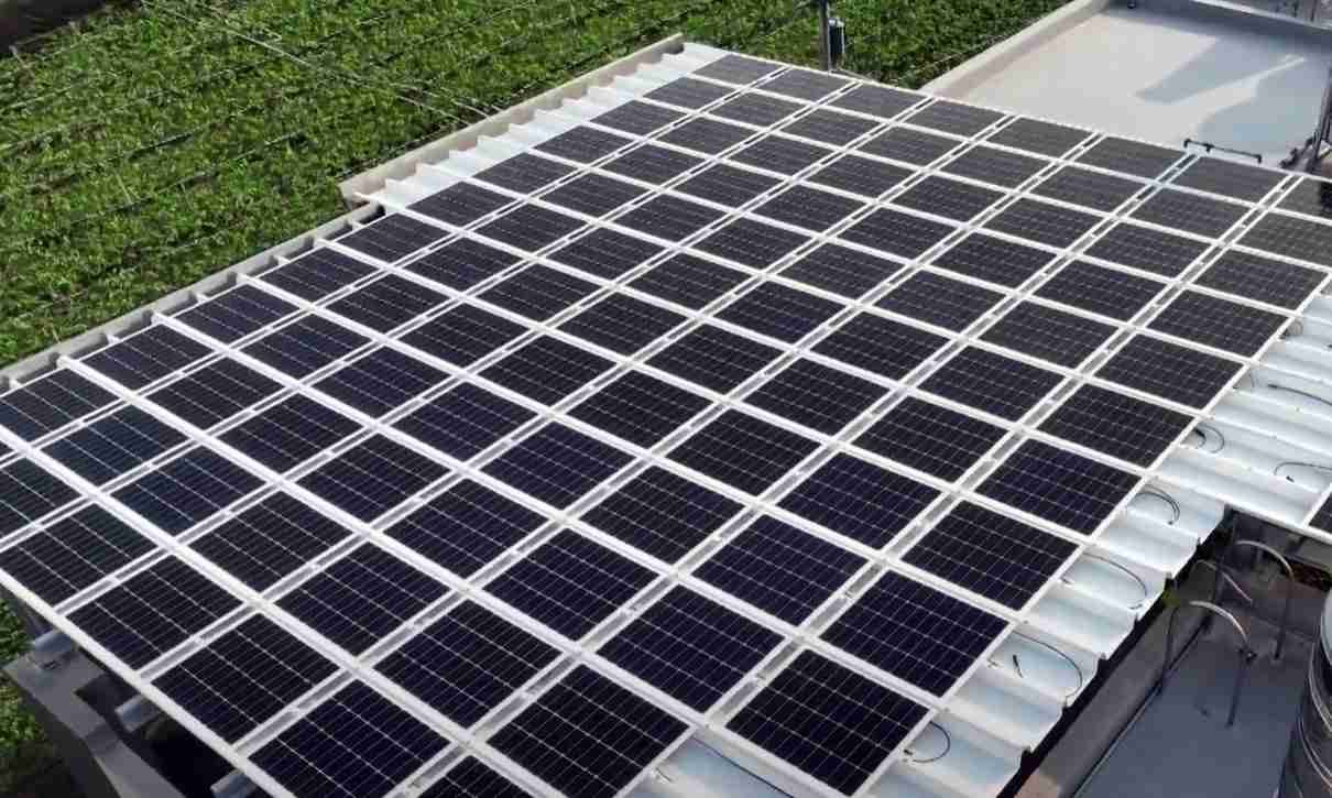 人生就是博SunSteel光电浪板升级双玻结构，，，，以提升机械负载强度及气候耐候度，，，，可广泛运用于多元场域